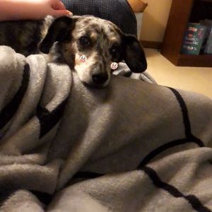 Meet your Posher, Charlotte